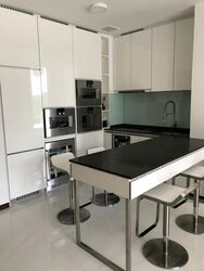 The Scotts Tower (D9), Condominium #405045021